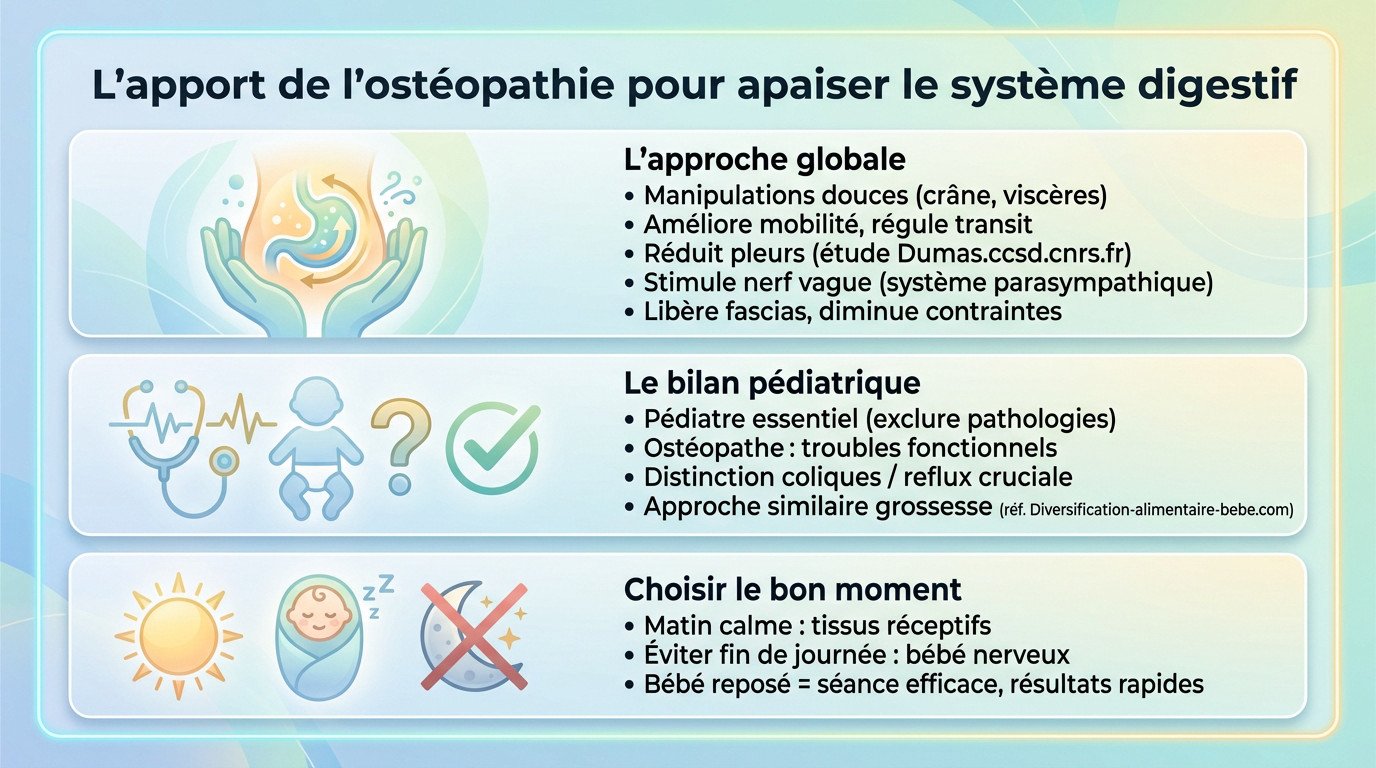 lapport de losteopathie pour apaiser le systeme digestif Ostéopathe manipulant doucement le ventre d'un nourrisson pour soulager les coliques