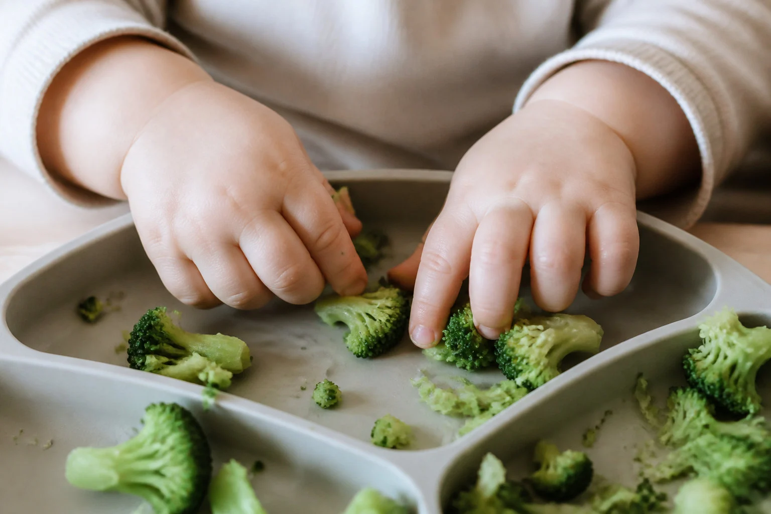 baby exploring broccoli 3 conseils pour faciliter l'acceptation de nouvelles saveurs