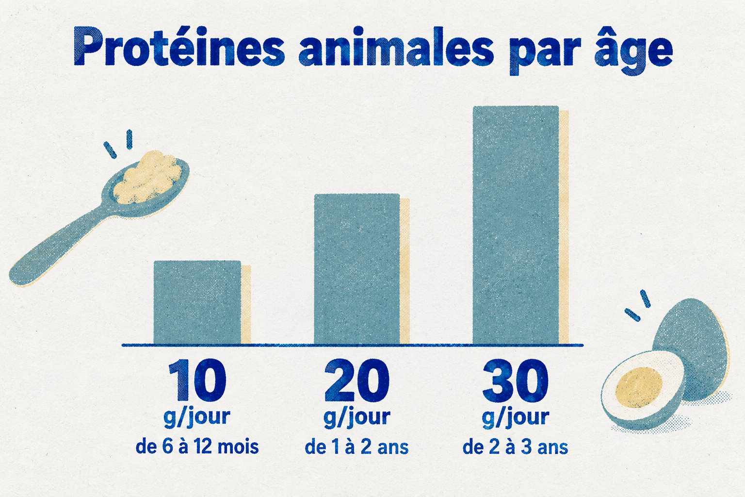 Les repères quotidiens de protéines animales sont d’environ 10 g de 6 à 12 mois, 20 g de 1 à 2 ans et 30 g de 2 à 3 ans.